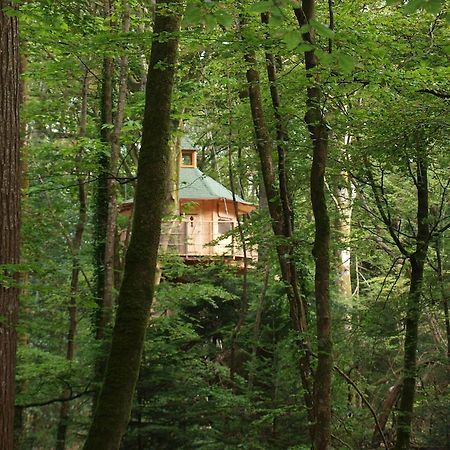 Les Cabanes De Kermenguy Cléder Værelse billede