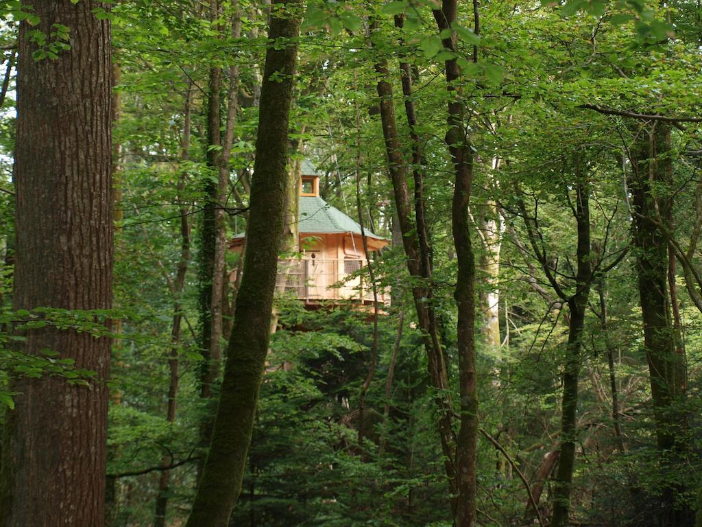 Les Cabanes De Kermenguy Cléder Værelse billede